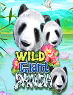 ลุ้นแจ็คพอต สมัคร รับ ฟรี 50slot joker ถอน ไม่มี ขั้น ต่ำ